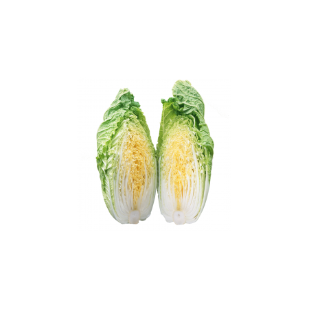 VIP有机白菜500g