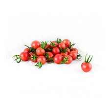 有机小西红柿