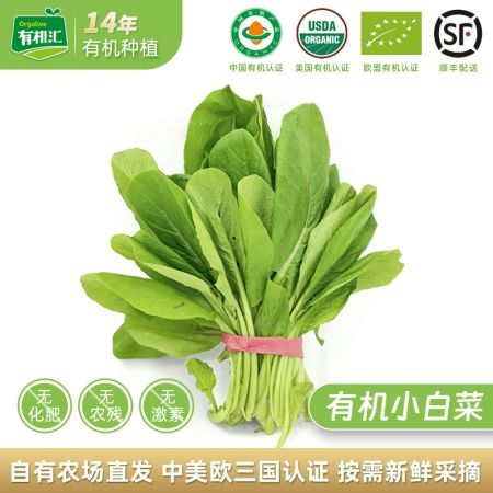 有机四季小白菜250g（少量虫眼）