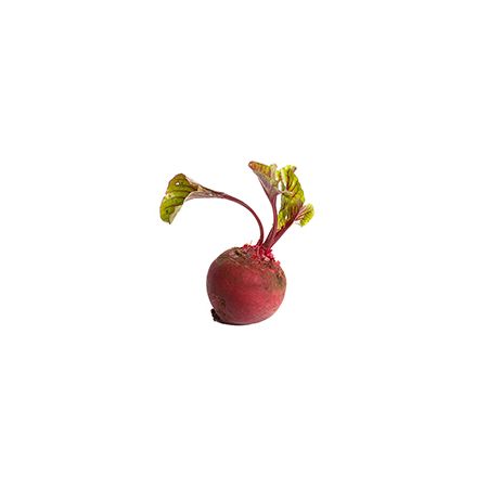 有机甜菜根