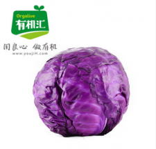 VIP有机紫甘蓝1000g