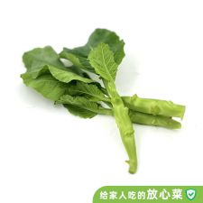 VIP芥蓝250g