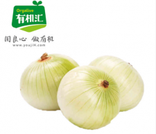 VIP有机黄洋葱2斤