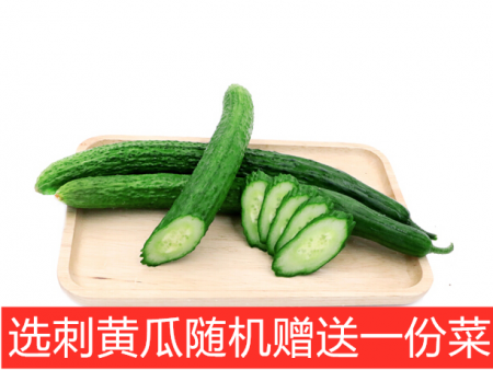有机刺黄瓜