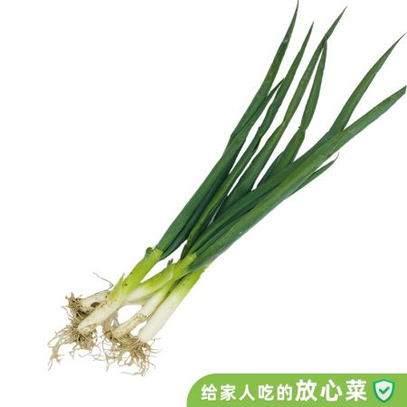 VIP有机葱250g
