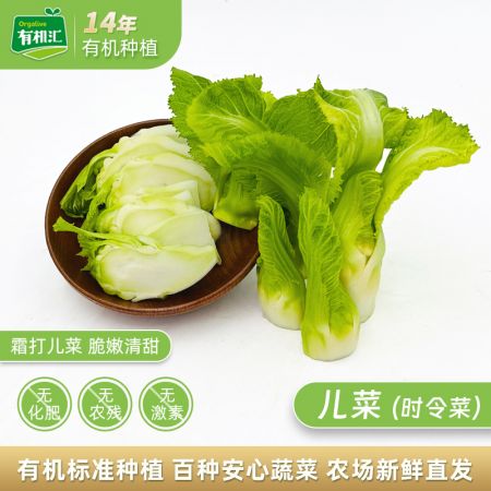 VIP儿菜500g