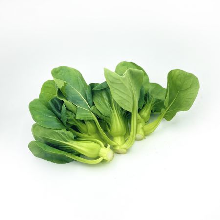 VIP有机上海青500g（较嫩，少量虫眼）