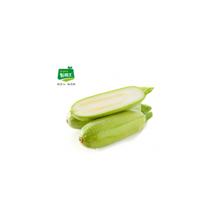VIP有机西葫芦5斤装