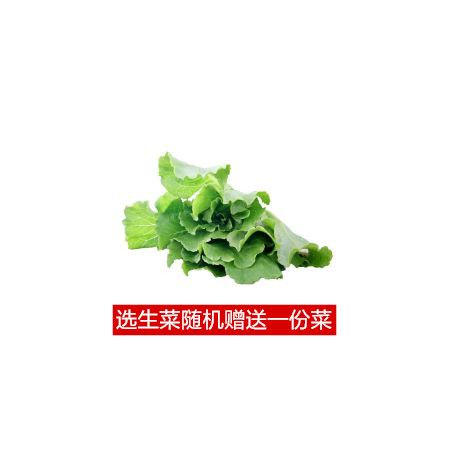 有机意大利生菜