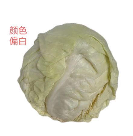 有机甘蓝500g