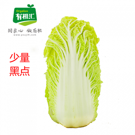 有机白菜750g（部分带黑点，不影响食用）