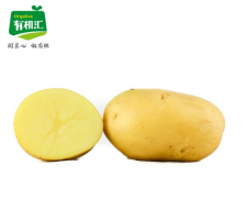 VIP有机土豆500g