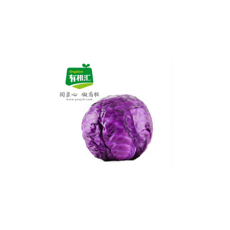 有机紫甘蓝750g