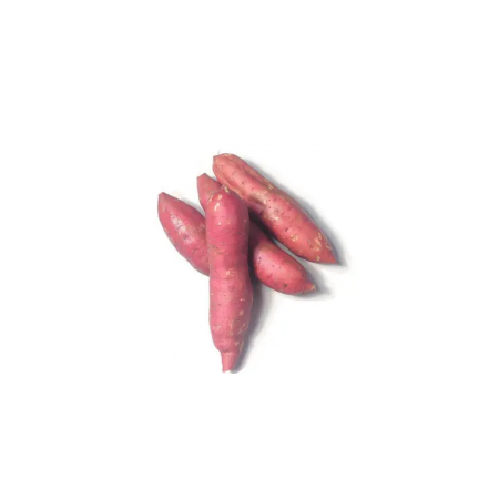 红薯5斤装