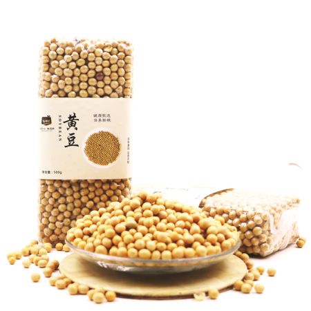 SD黄豆500g