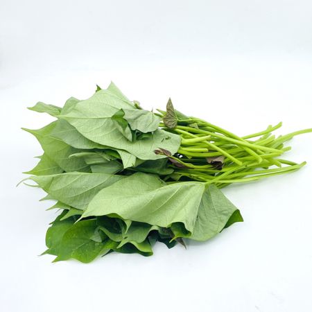 地瓜尖500g