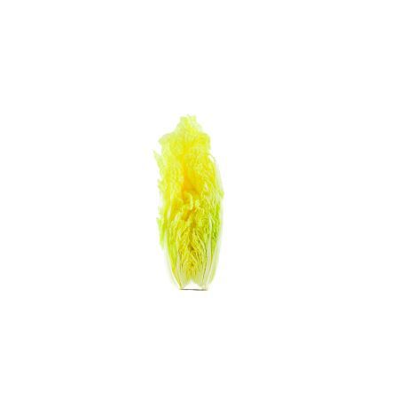 VIP有机白菜500g