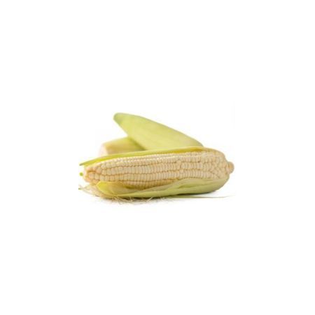 有机糯玉米（排单发货）
