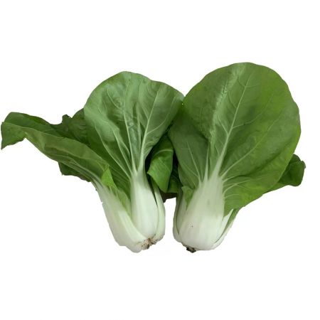 SD矮脚黄白菜500g（部分带虫眼）