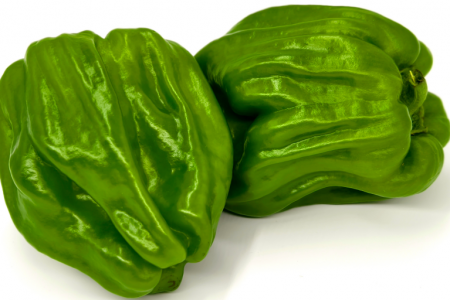 VIP有机薄皮青椒250g（微辣）