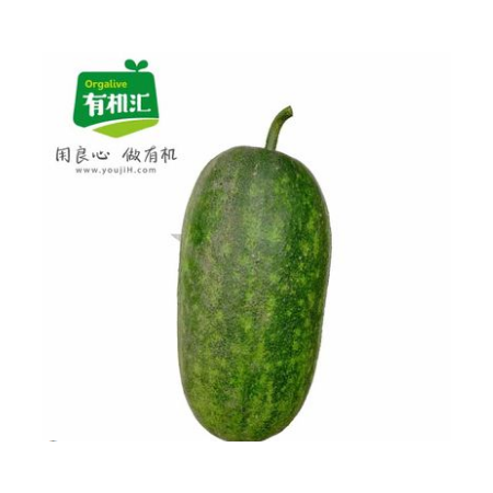 有机冬瓜