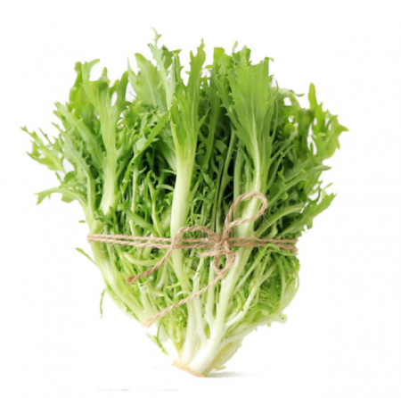 VIP有机苦苣500g