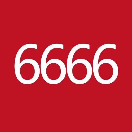 6666元储值